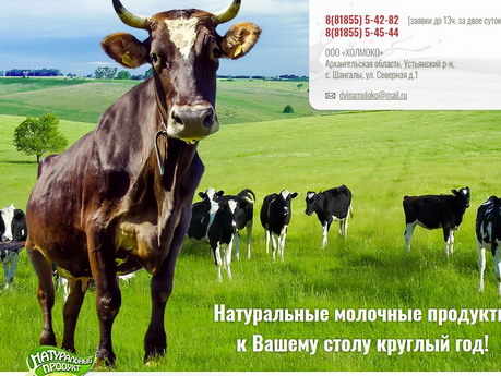 создание сайтов в архангельске